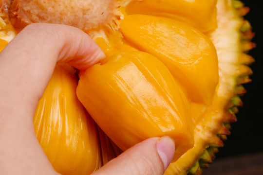 僵尸翻生 相关产品