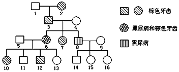 傀儡姬 产品图片