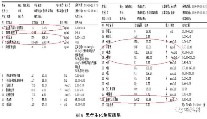 依莉丝 推荐产品