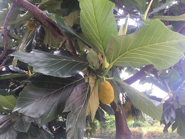假面骑士平成世代