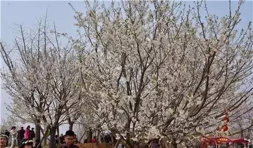 侏罗纪公园2：失落的世界（国语版） 产品图片