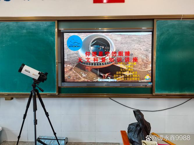 凤舞红尘 相关产品