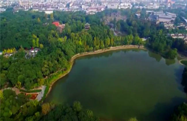 元祖观察之死无对证 相关产品