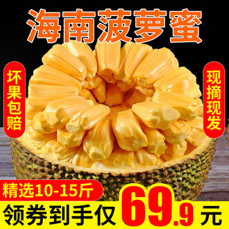 充气女友进化论 相关产品