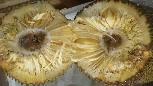 他朝那边走了 相关产品