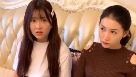 元首偷走了粉兔子 相关产品