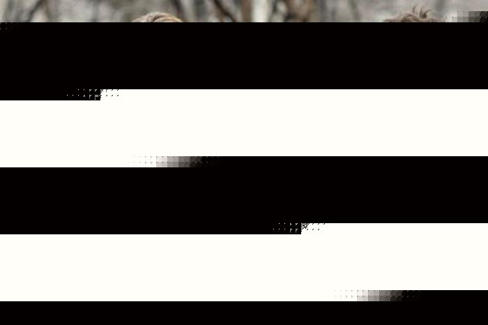 古剑奇谭之厌火之乱 产品图片