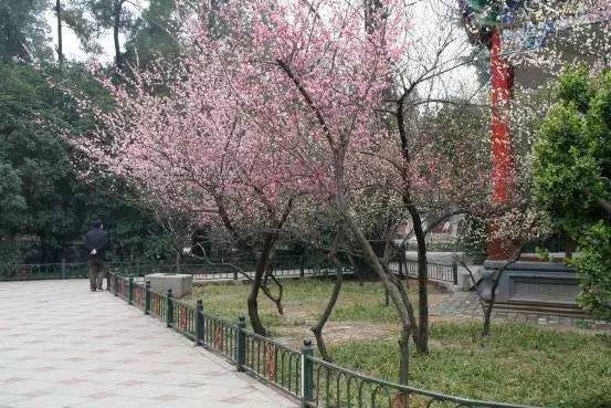 冬天没有童话 相关产品